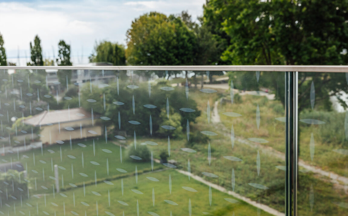 glasmarte-glasgelaender-gmrailing-vogelschutz-immenstadt-manuelpaul (13)