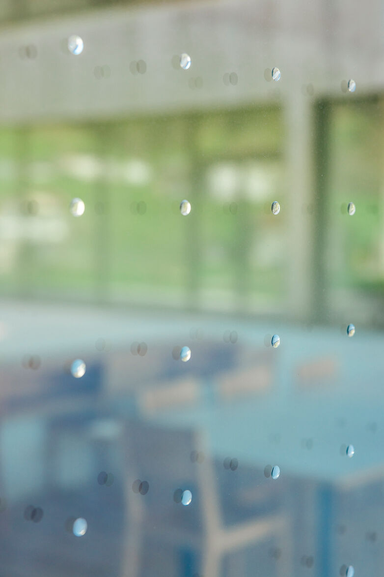 uniglas isolierglas-saflex flysafe 3d-vogelschutz glas-schule -andelsbuch-manuel paul(11)