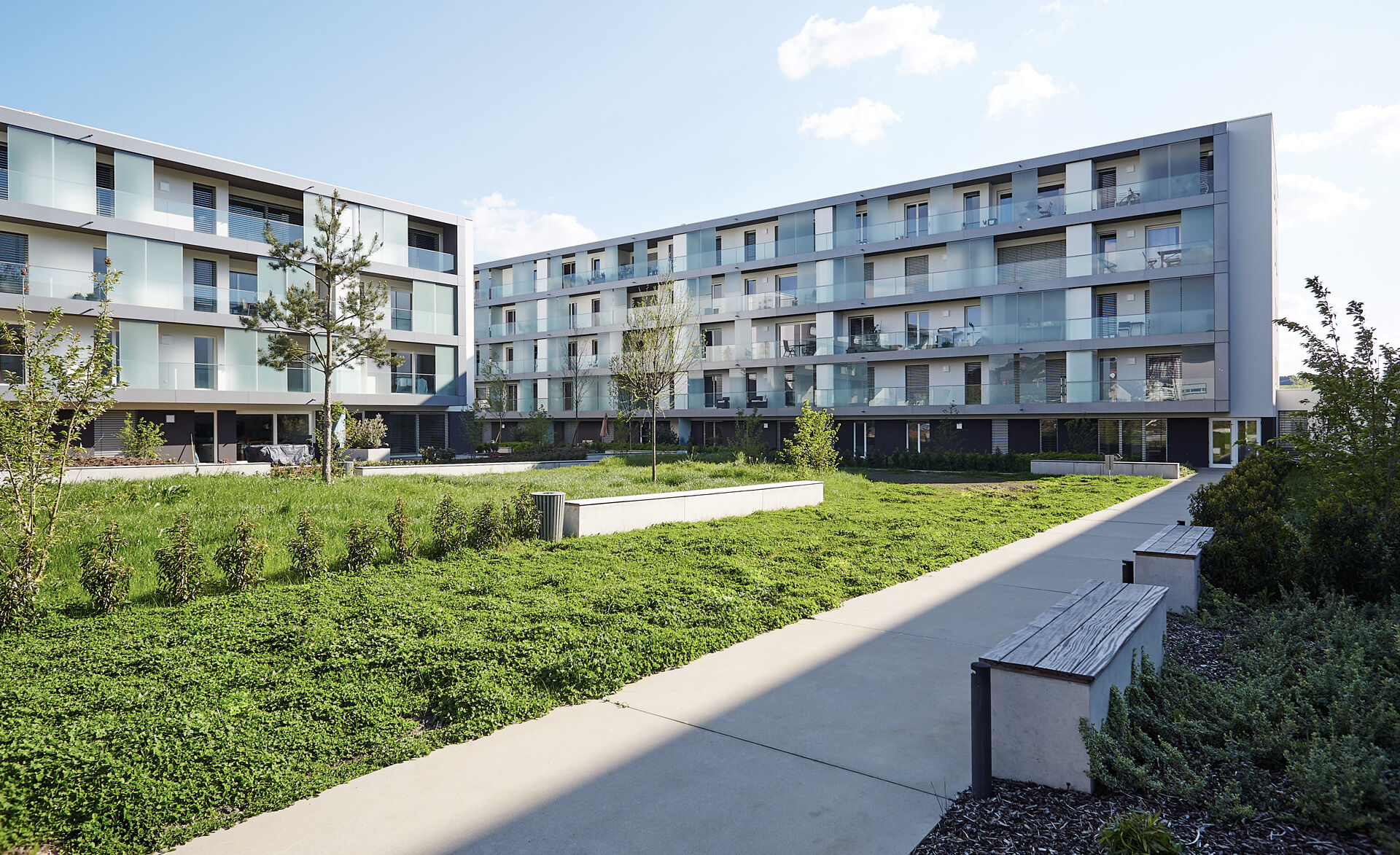 GM Toproll in Mondorf GM Toproll in Mondorf