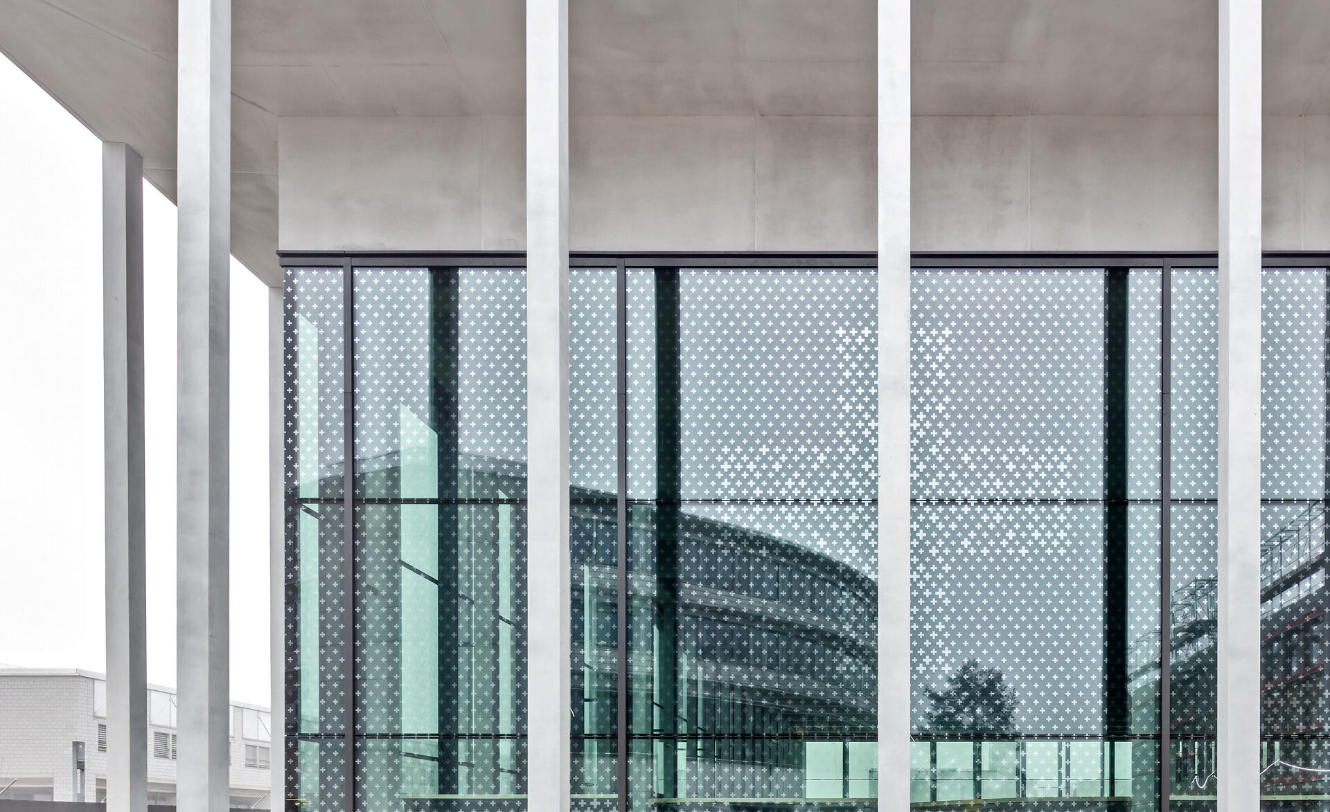 Glas Marte Vogelschutz