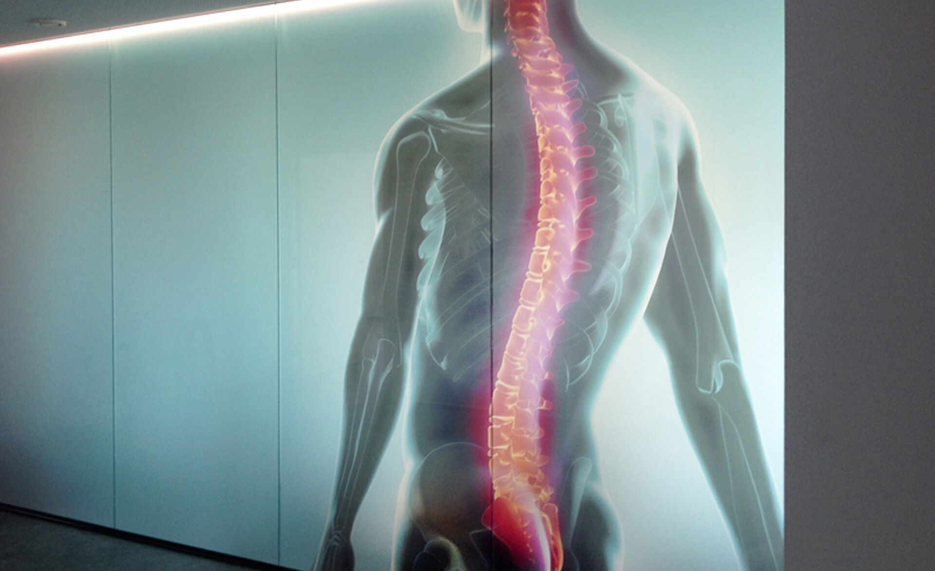 GM Fotodruck auf Glaswand GM Fotodruck auf Glaswand