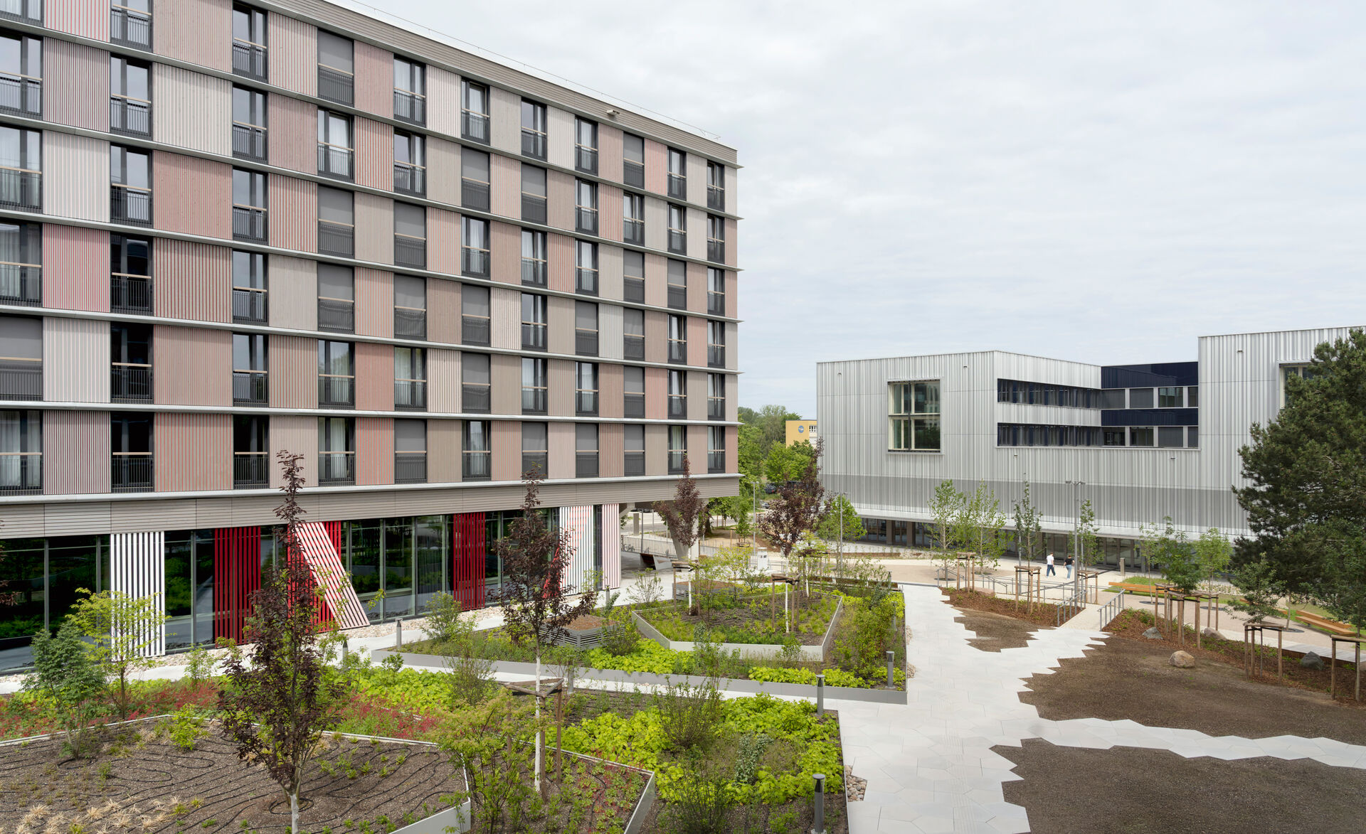 glasmarte-fassadenverglasung-zollhochschule-rostock-janbitter (3)
