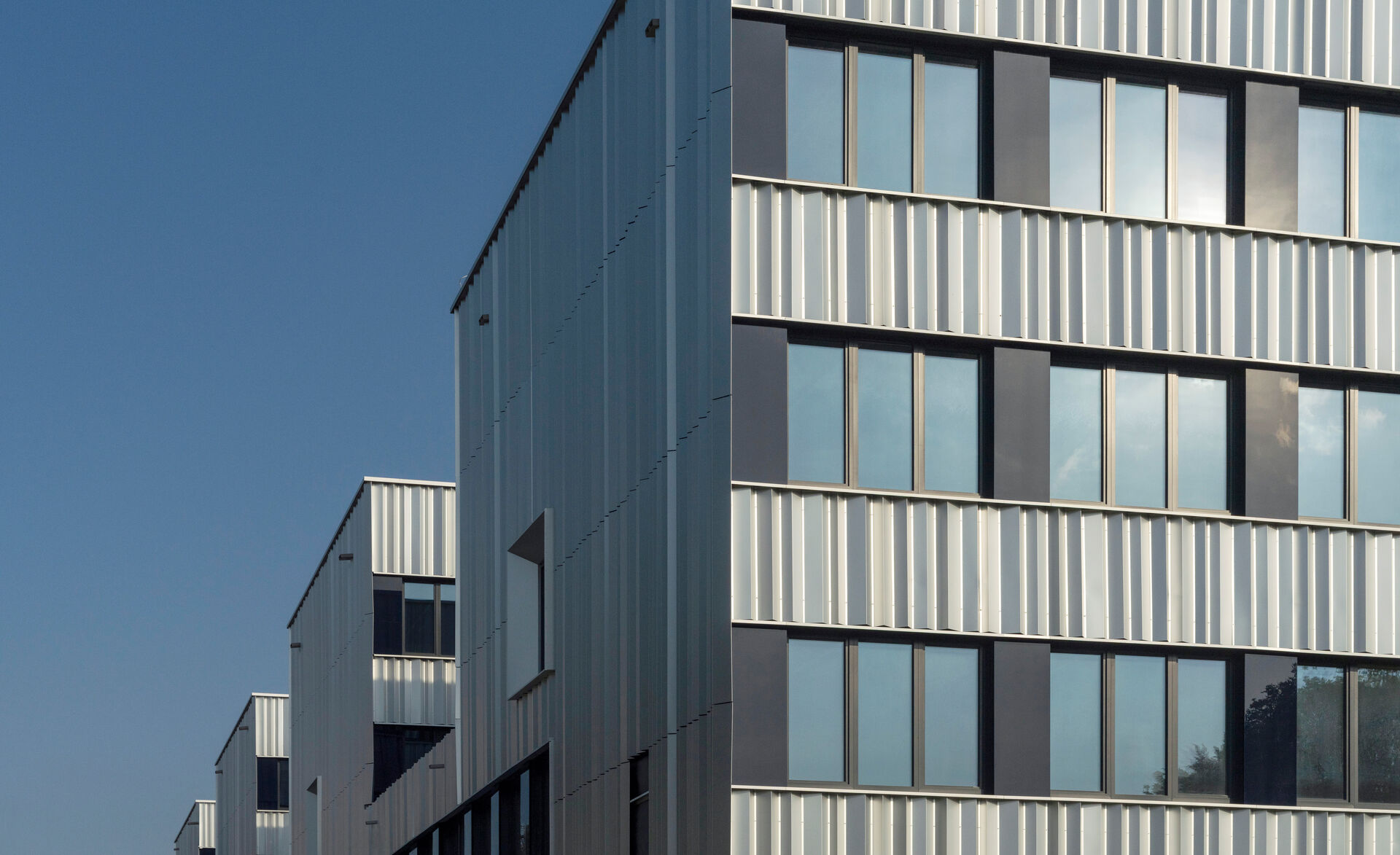 glasmarte-gmglassics-vorgehängtefassade-zollhochschule-rostock-janbitter (1)