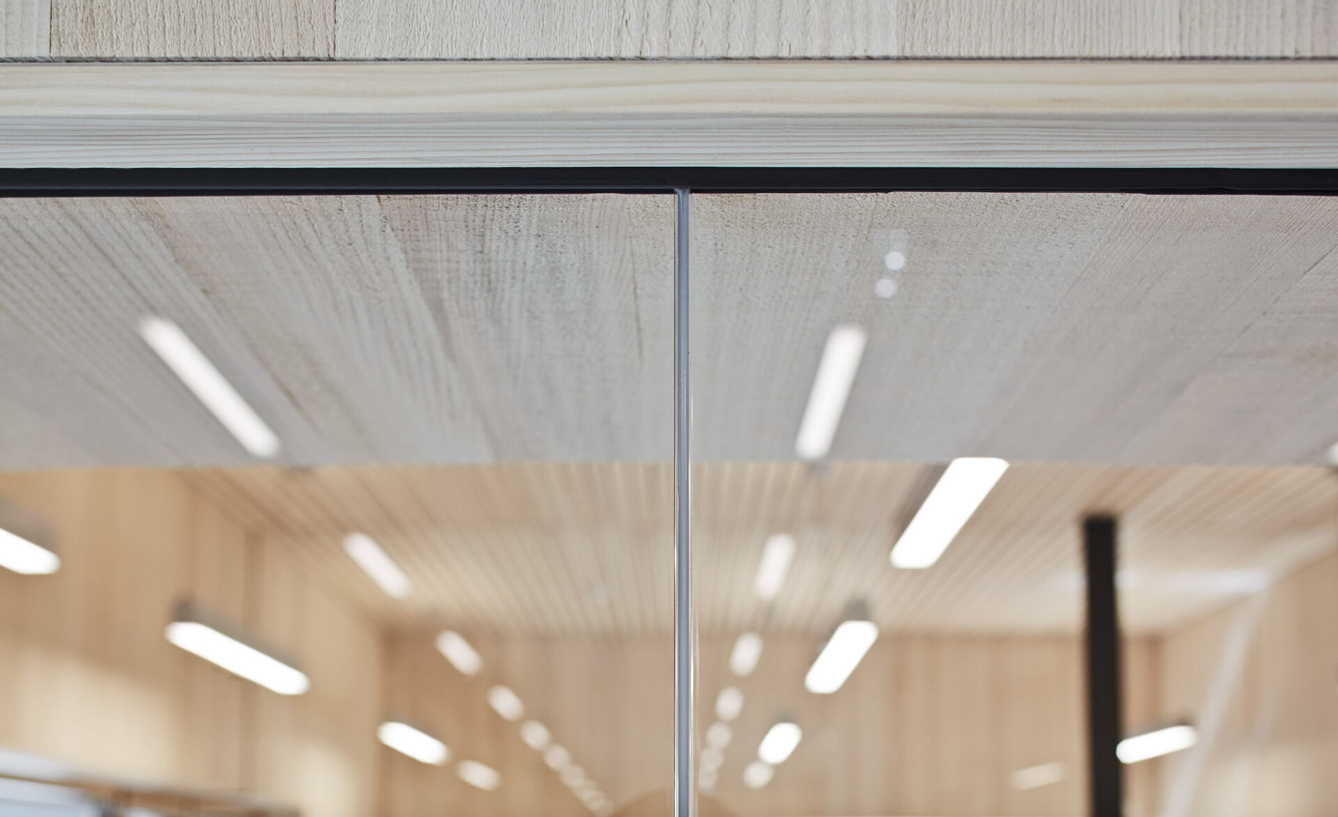 Glas Marte Ganzglasanlage