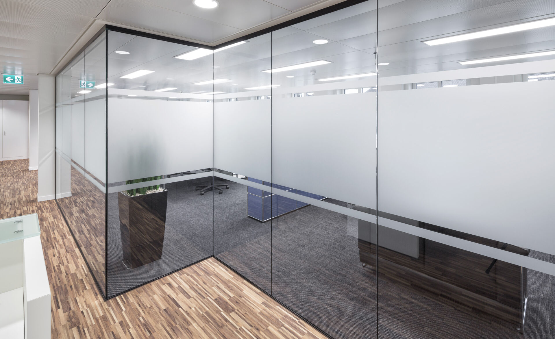 GM Martition Plus Validus