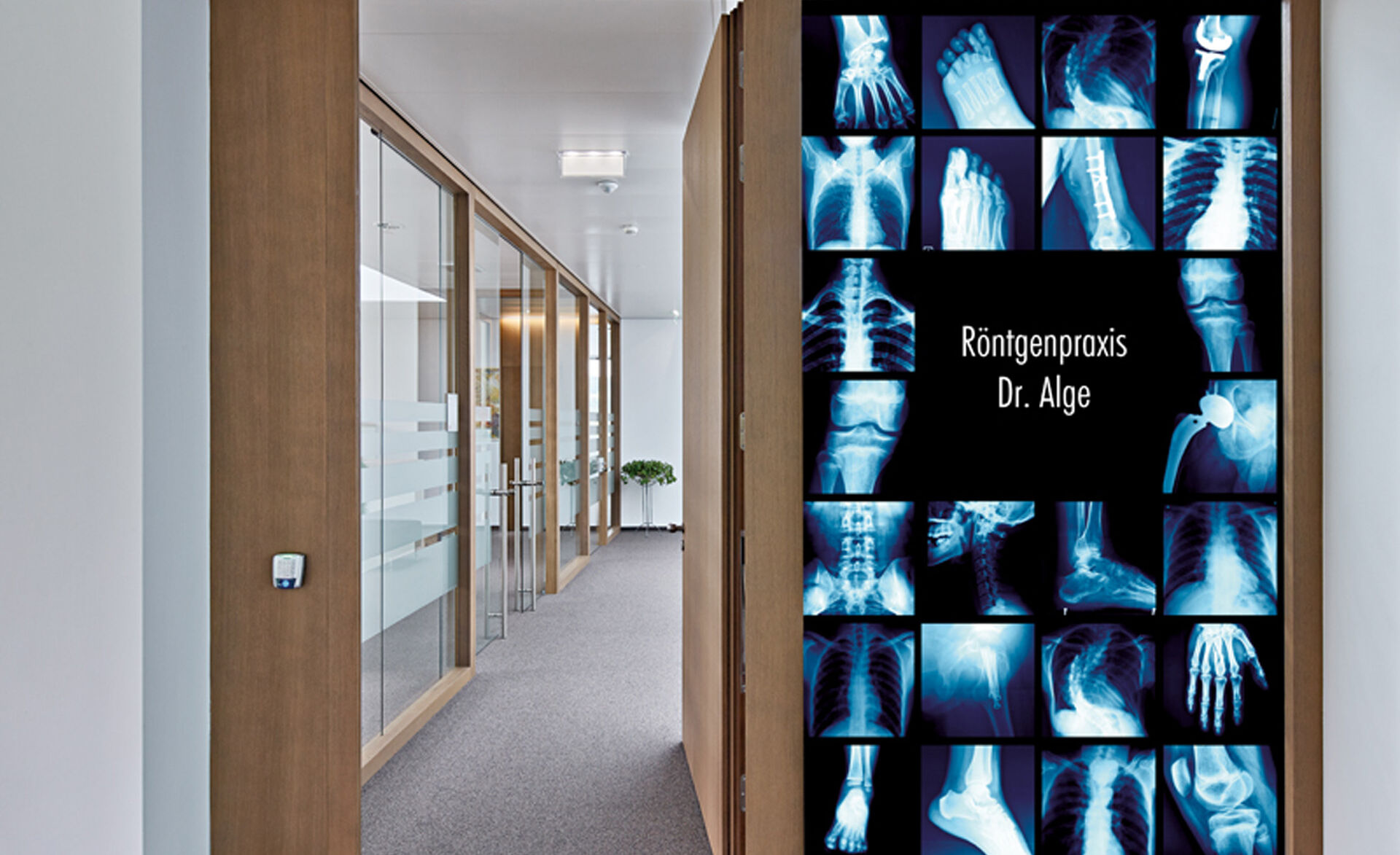  GM Fotodruck auf Glaswand