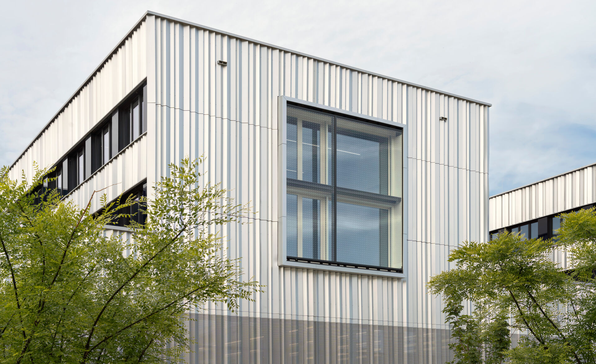 glasmarte-gmisobirdsense-vogelschutz-kastenfenster-zollhochschule-rostock-janbitter (2)