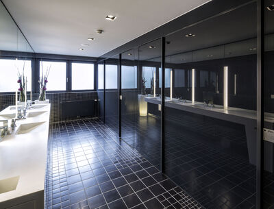 Schwarzes GM CABINMART® Blickdichte Glas-Trennwände im Sanitärbereich